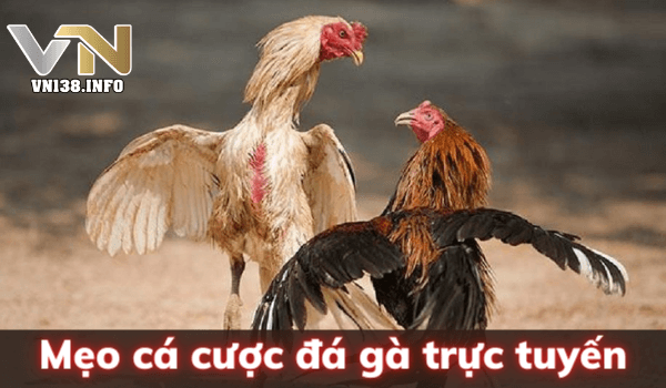 Khám phá cơ hội trúng thưởng lớn cùng hũ vàng club và sự hấp dẫn độc đáo tại hũ vàng club